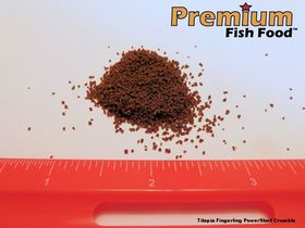 Tilapia PowerStart Fingerling Crumble 20 lbs