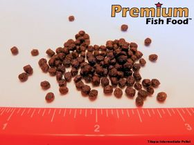 Tilapia Intermediate Pellet 20 lbs