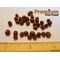 Cichlid Pellet XL 20 lbs