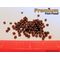 Tilapia Intermediate Pellet 20 lbs
